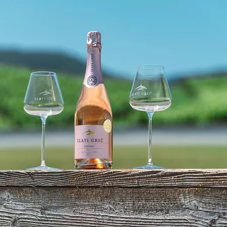 Wine Grower's Mansion Zlati Gric Slovenske Konjice