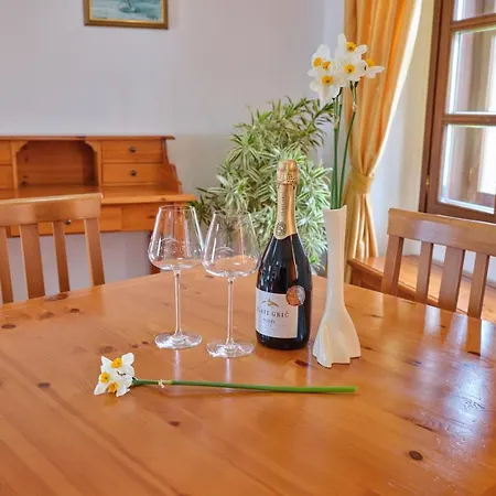 Wine Grower's Mansion Zlati Gric *