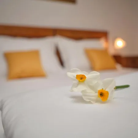 Διαμέρισμα Wine Grower's Mansion Zlati Gric