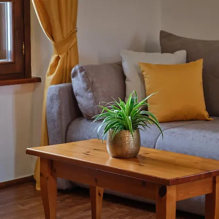 Wine Grower's Mansion Zlati Gric Apartment *