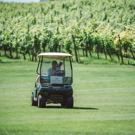 Wine Grower's Mansion Zlati Gric Apartamento