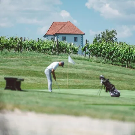 Wine Grower's Mansion Zlati Gric Apartamento *