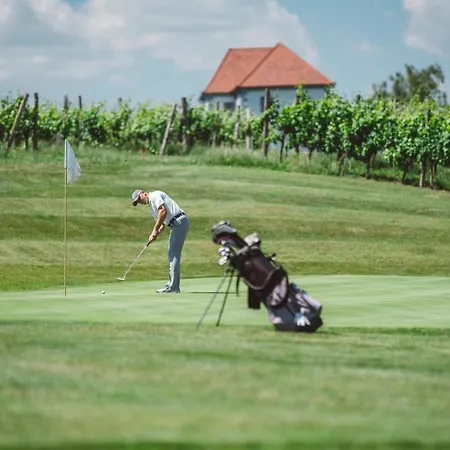 ワイン グローワーズ マンション ズラティ グリツ アパート