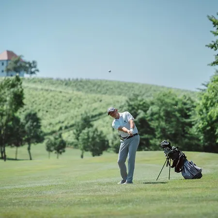 Wine Grower's Mansion Zlati Gric Apartamento