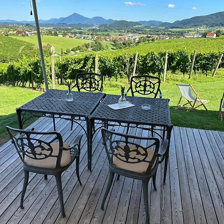 Wine Grower's Mansion Zlati Gric Slovenske Konjice