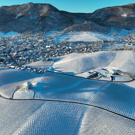 Wine Grower's Mansion Zlati Gric Apartamento Slovenske Konjice
