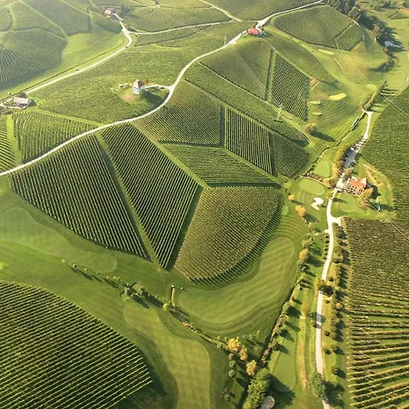 Apartamento Wine Grower's Mansion Zlati Gric Slovenske Konjice