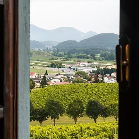 Apartamento Wine Grower's Mansion Zlati Gric *