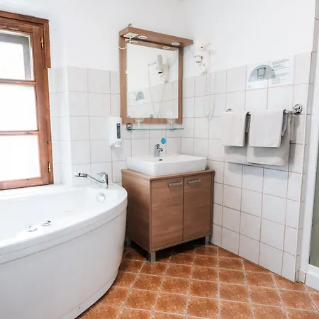 Apartment Wine Grower's Mansion Zlati Gric *