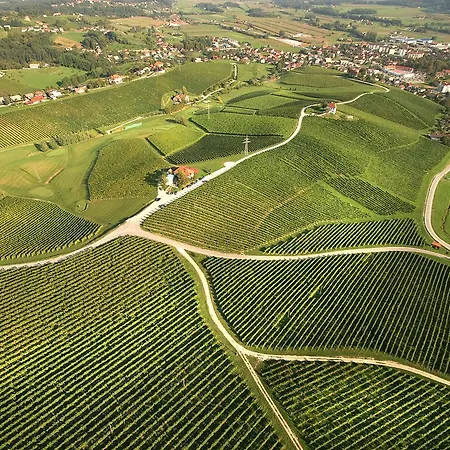 Wine Grower's Mansion Zlati Gric