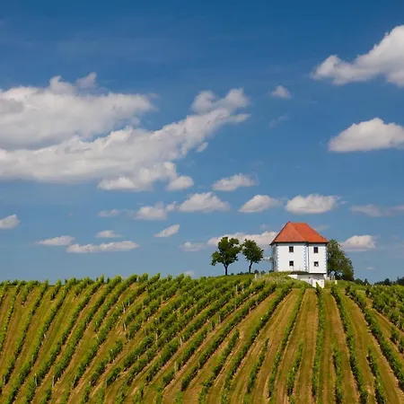 Wine Grower's Mansion Zlati Gric Slovenske Konjice