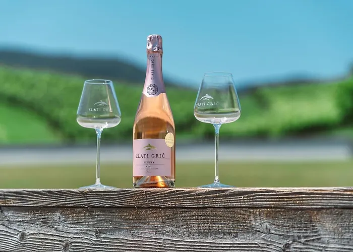 Wine Grower's Mansion Zlati Gric Slovenske Konjice