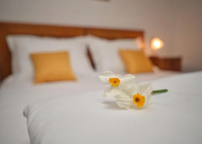 Appartement Wine Grower's Mansion Zlati Gric