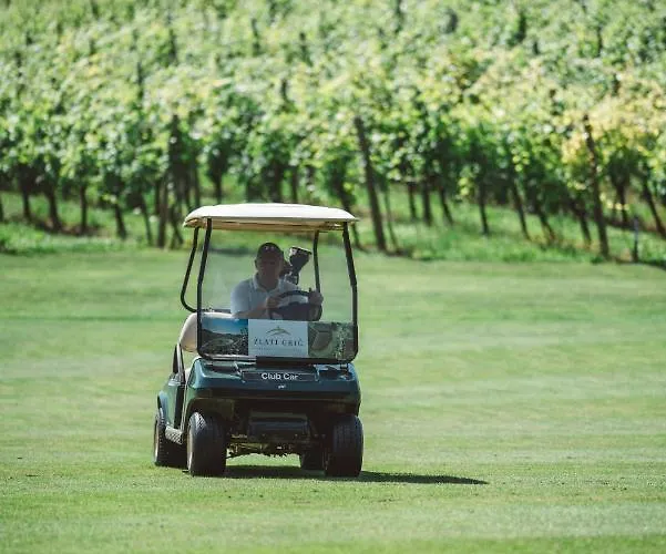 Wine Grower's Mansion Zlati Gric Appartement