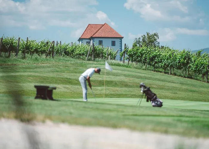 Wine Grower's Mansion Zlati Gric Appartement *