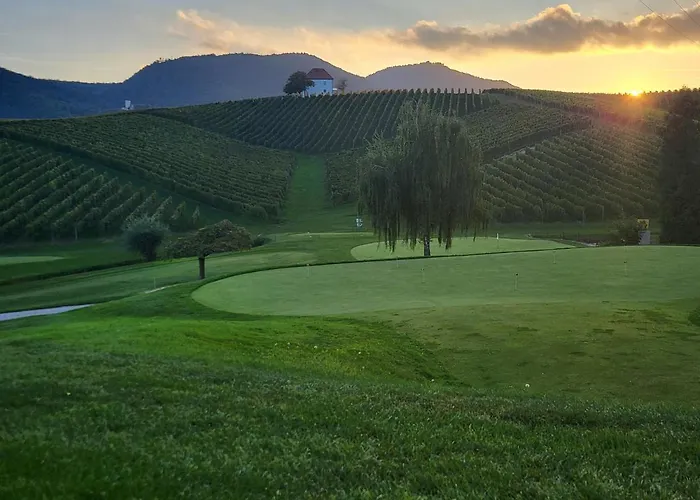 Wine Grower's Mansion Zlati Gric
