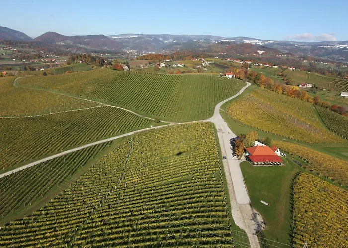 Wine Grower's Mansion Zlati Gric * Slovenske Konjice