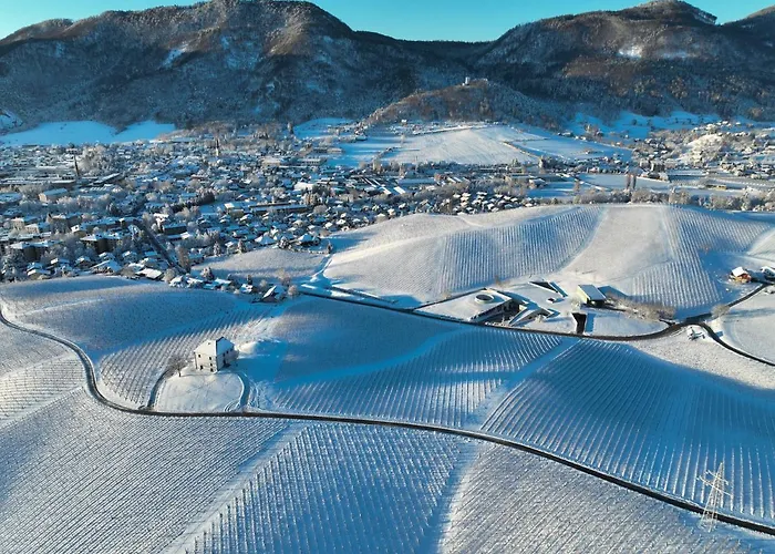 Wine Grower's Mansion Zlati Gric Appartement Slovenske Konjice