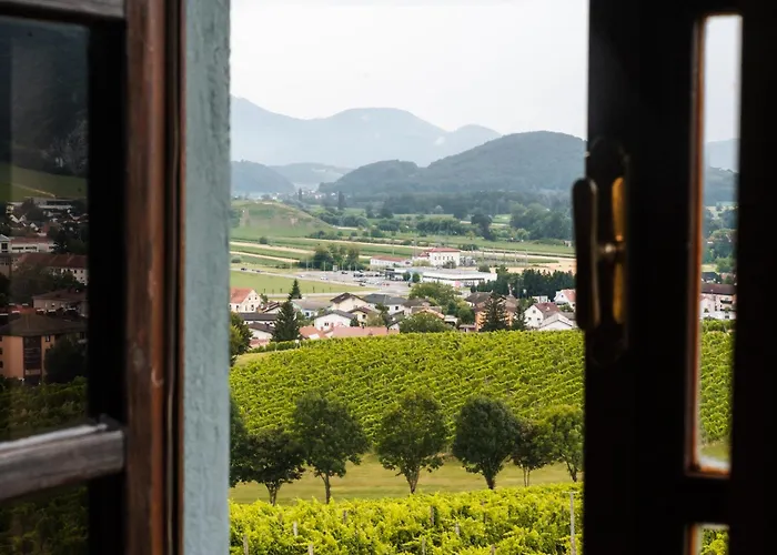 Appartement Wine Grower's Mansion Zlati Gric *