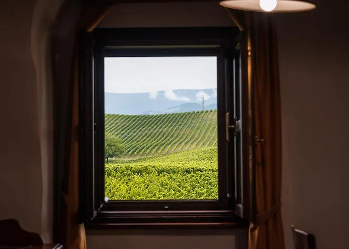 Wine Grower's Mansion Zlati Gric Appartement