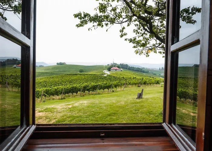 Wine Grower's Mansion Zlati Gric * Slovenske Konjice