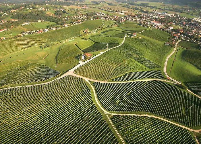 Wine Grower's Mansion Zlati Gric